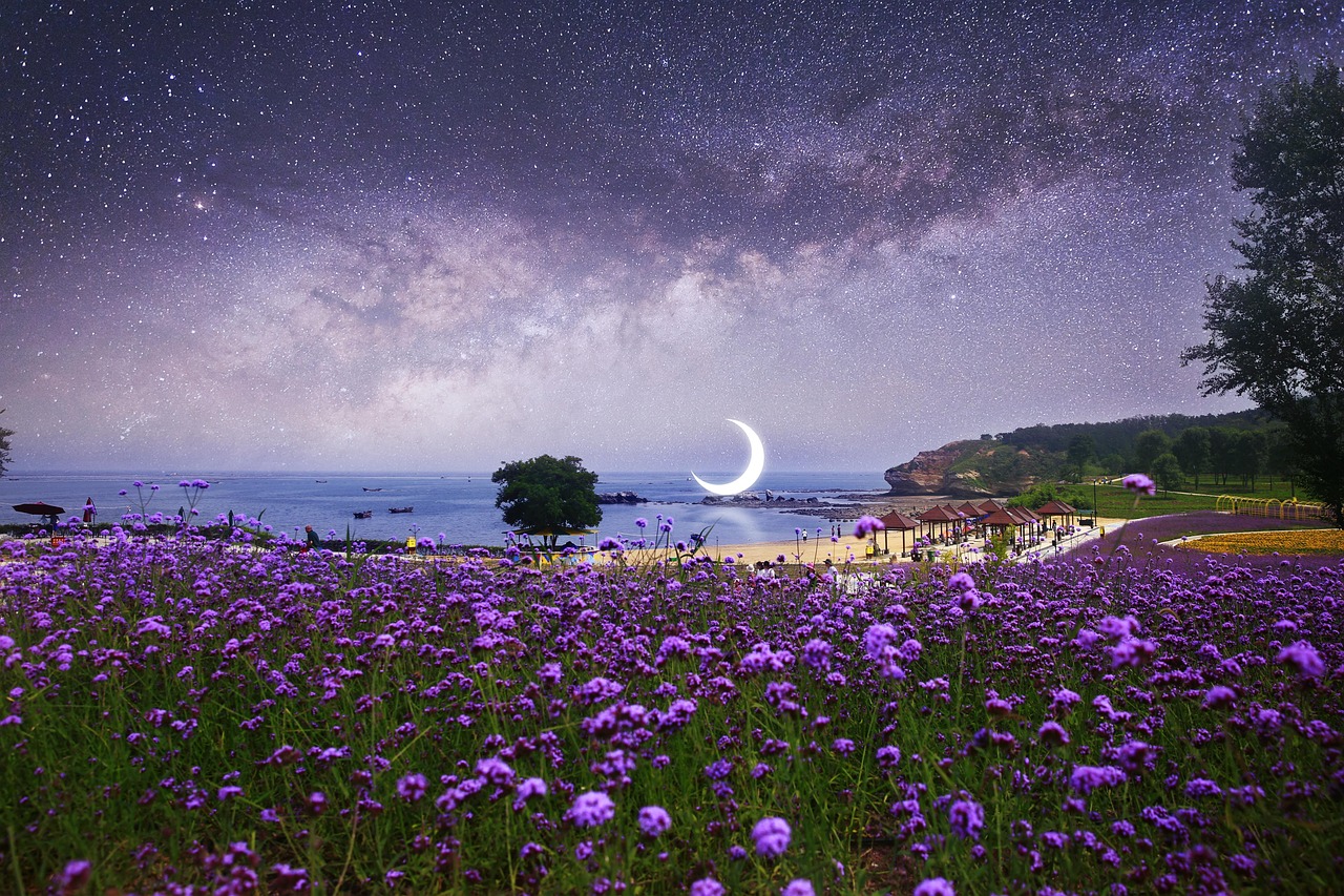 星空MV、梦幻MV、天美MV、糖心MV、蓝莓17c，这些视觉密码到底是什么？