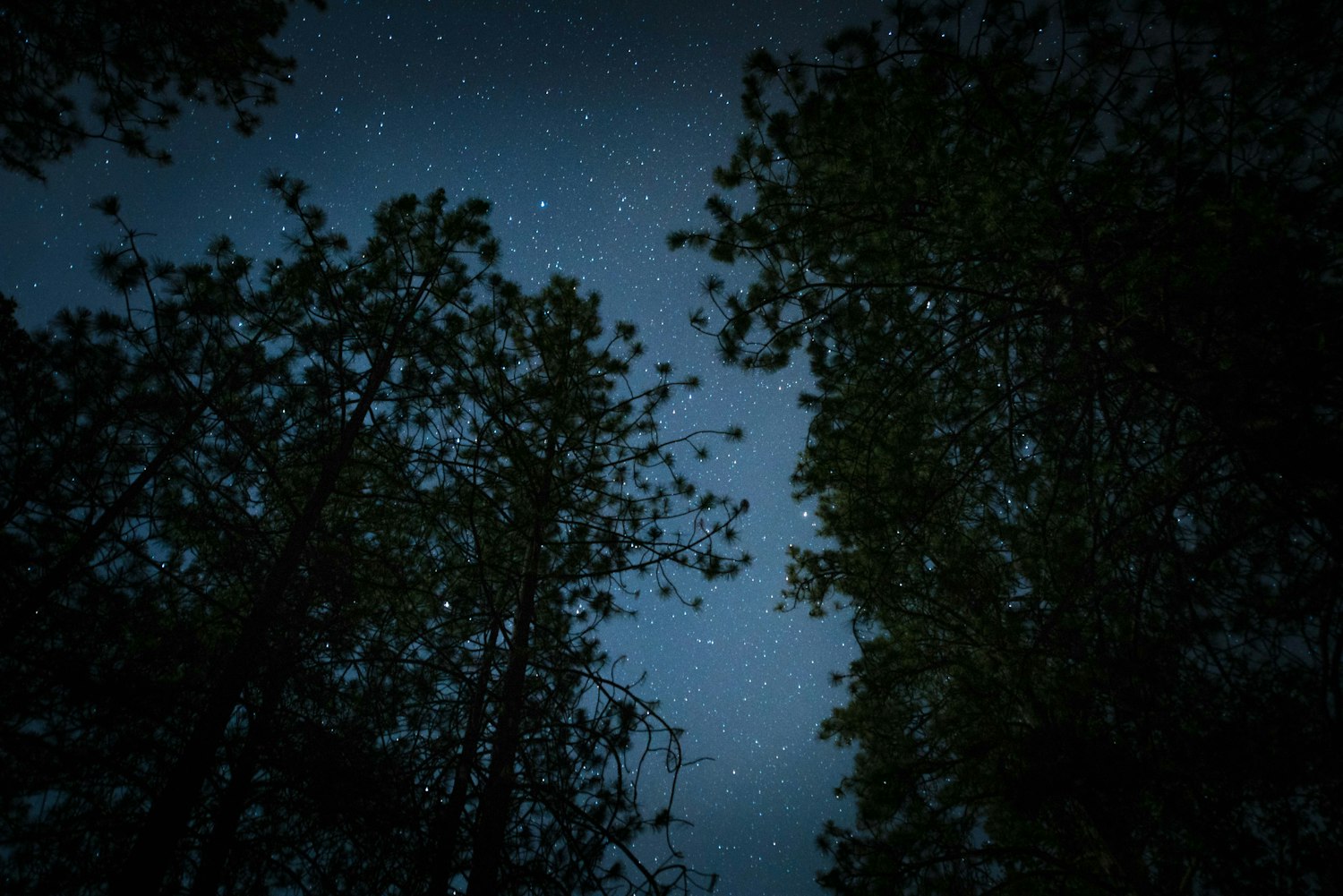吞噬星空在线观看全集免费播放，星辰影院带你沉浸式追番，这些细节你必须知道！