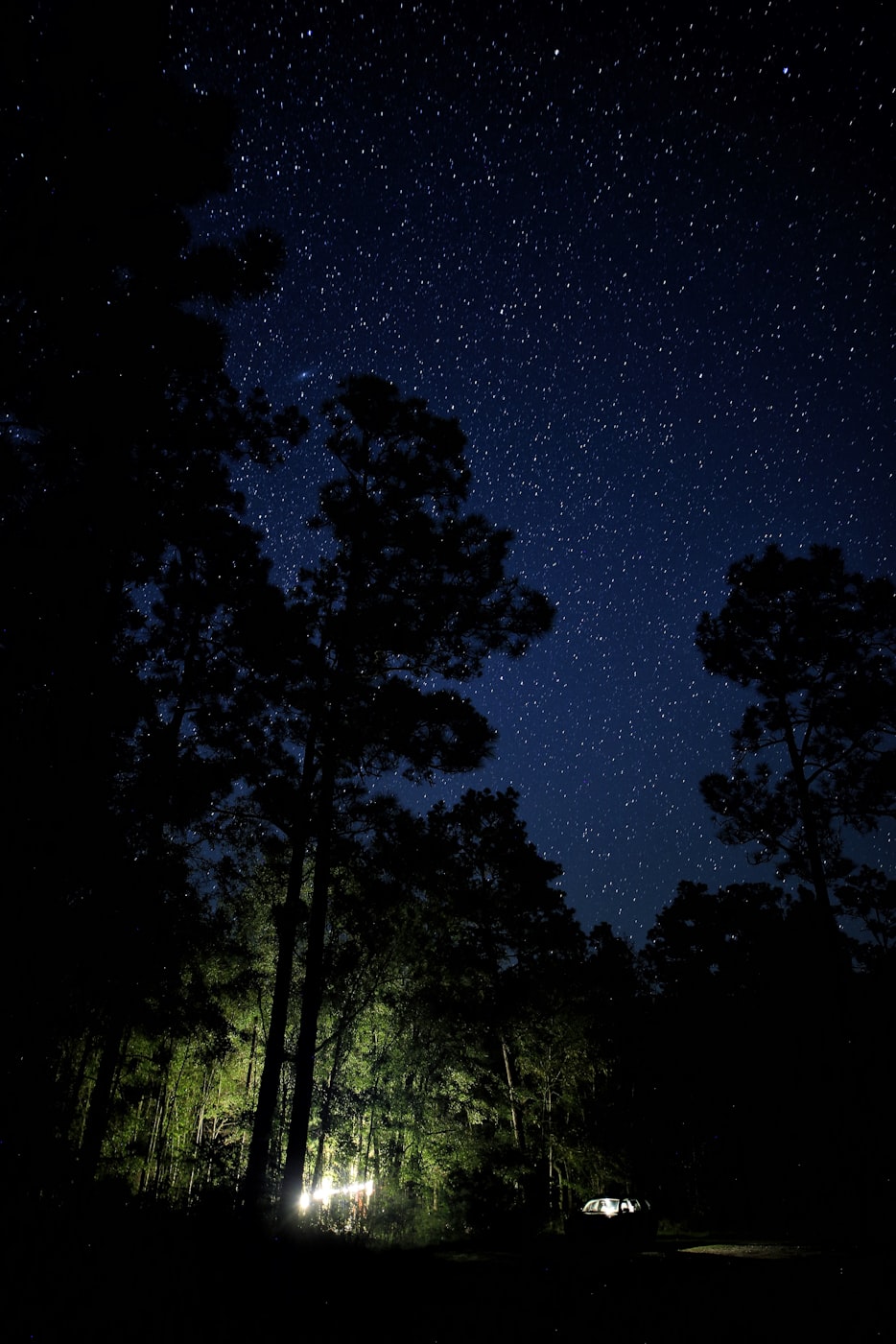 星空影院官网入口，一个影迷的深夜发现，藏着多少你不知道的秘密