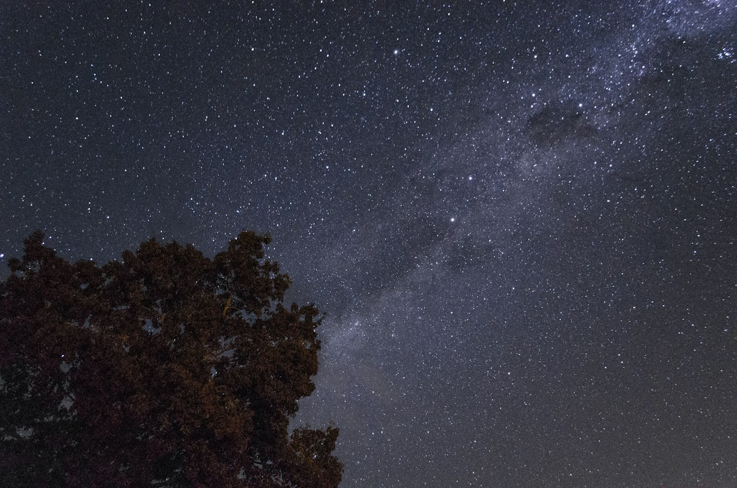 星空影院，追风者们的免费高清观影天堂
